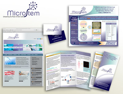 Microstem marketing materials